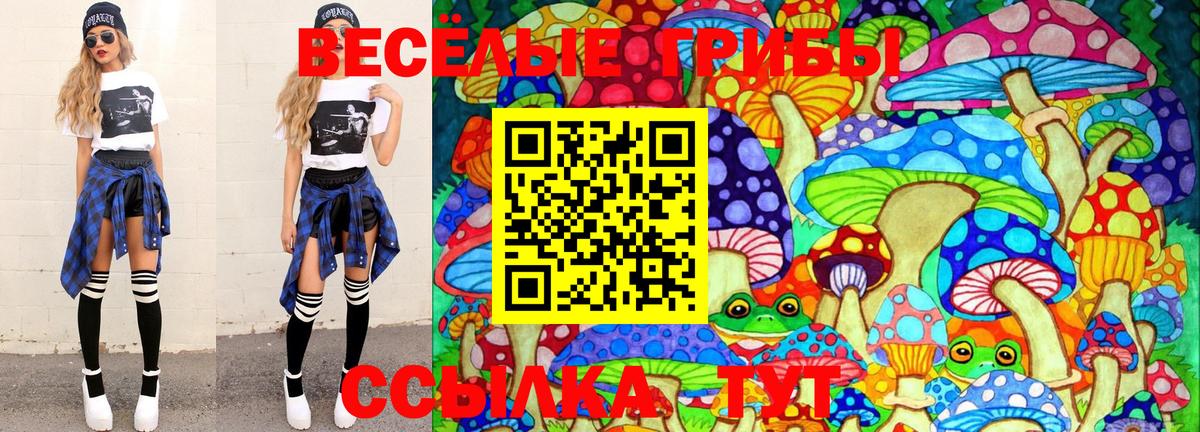 Псилоцибиновые грибы GOLDEN TEACHER  Галлюциногенные грибы Psilocybe  Нарьян-Мар  Вход с VPN 